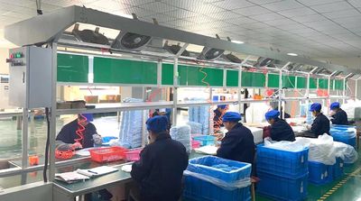 Shangyu ShengRuiSi Packaging Co.,Ltd linha de produção do fabricante